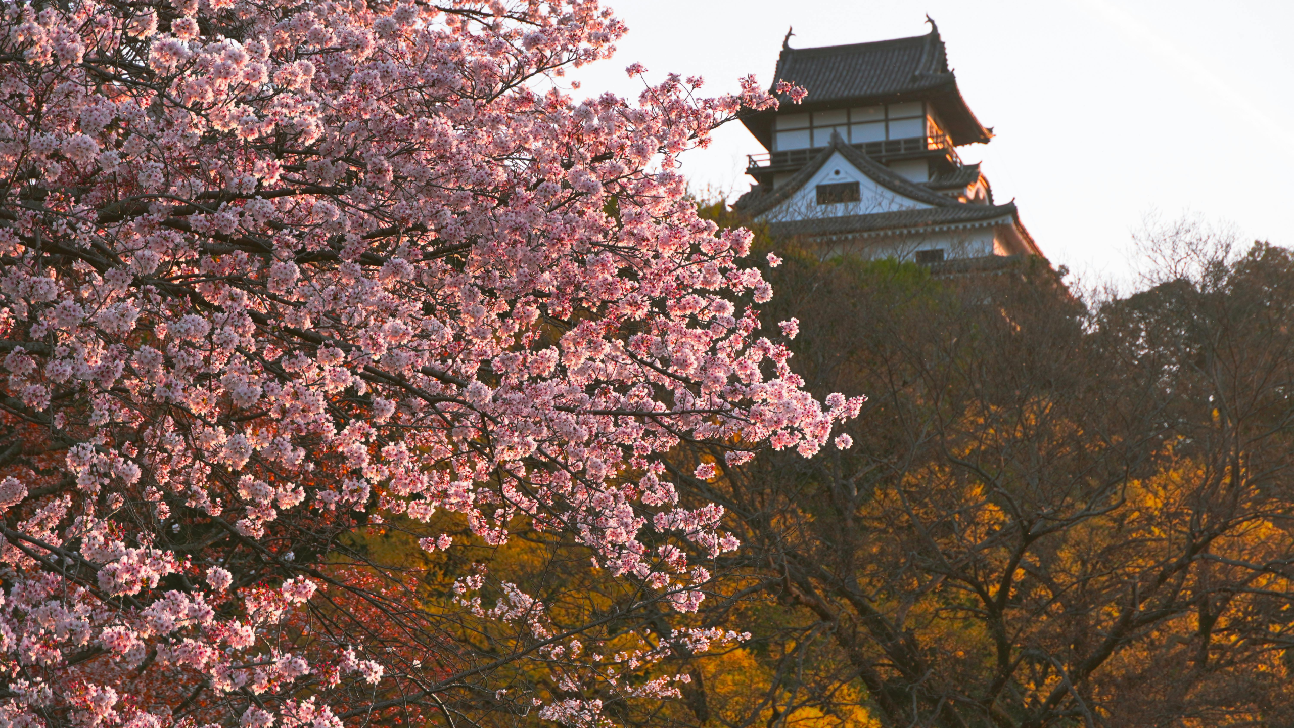 Nara