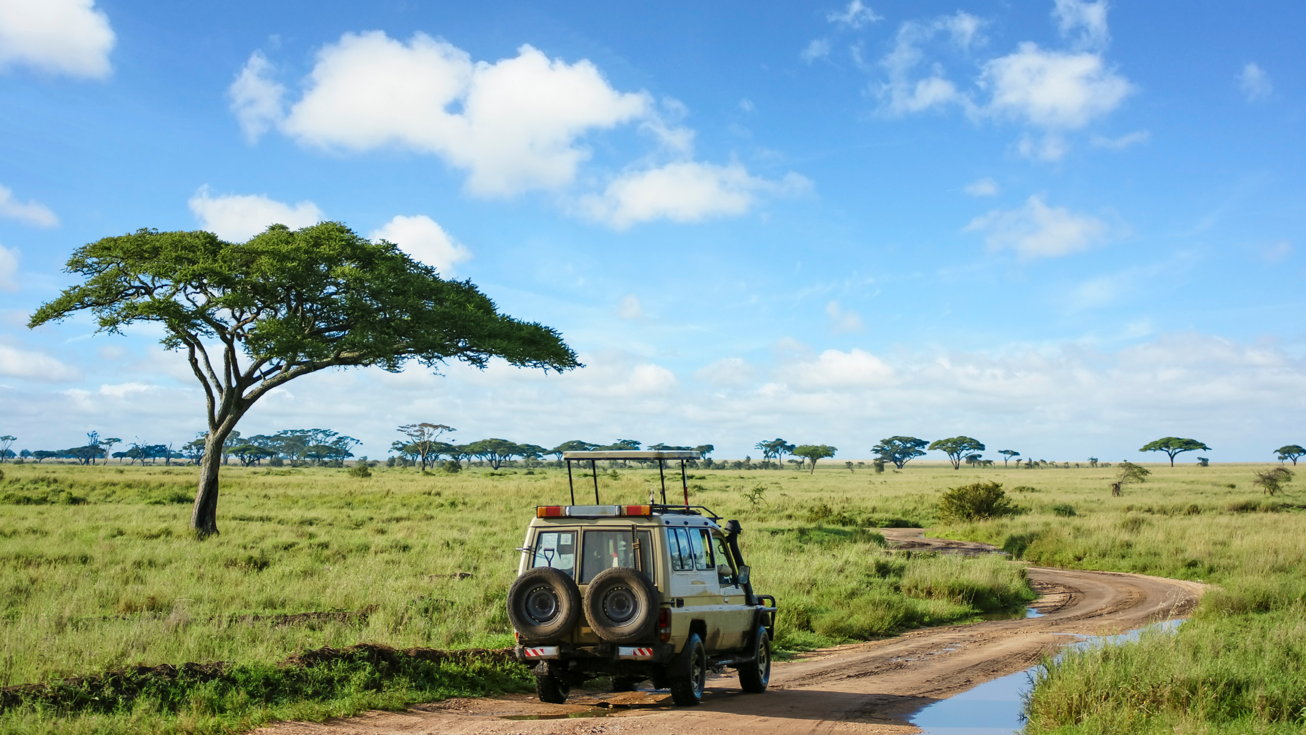 African safari