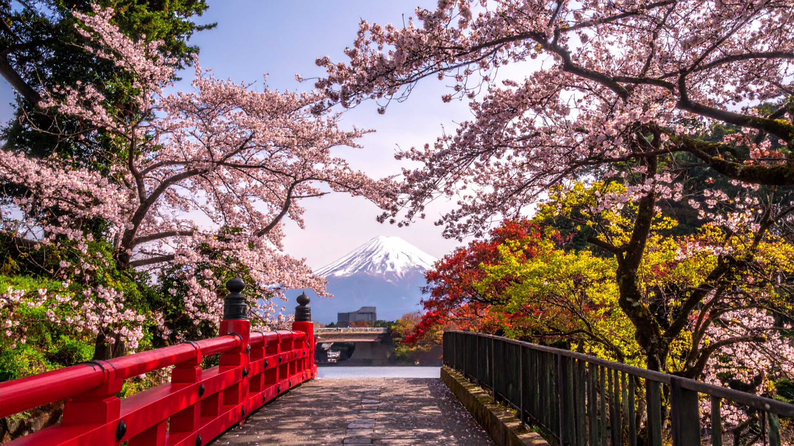 Old Tokyo