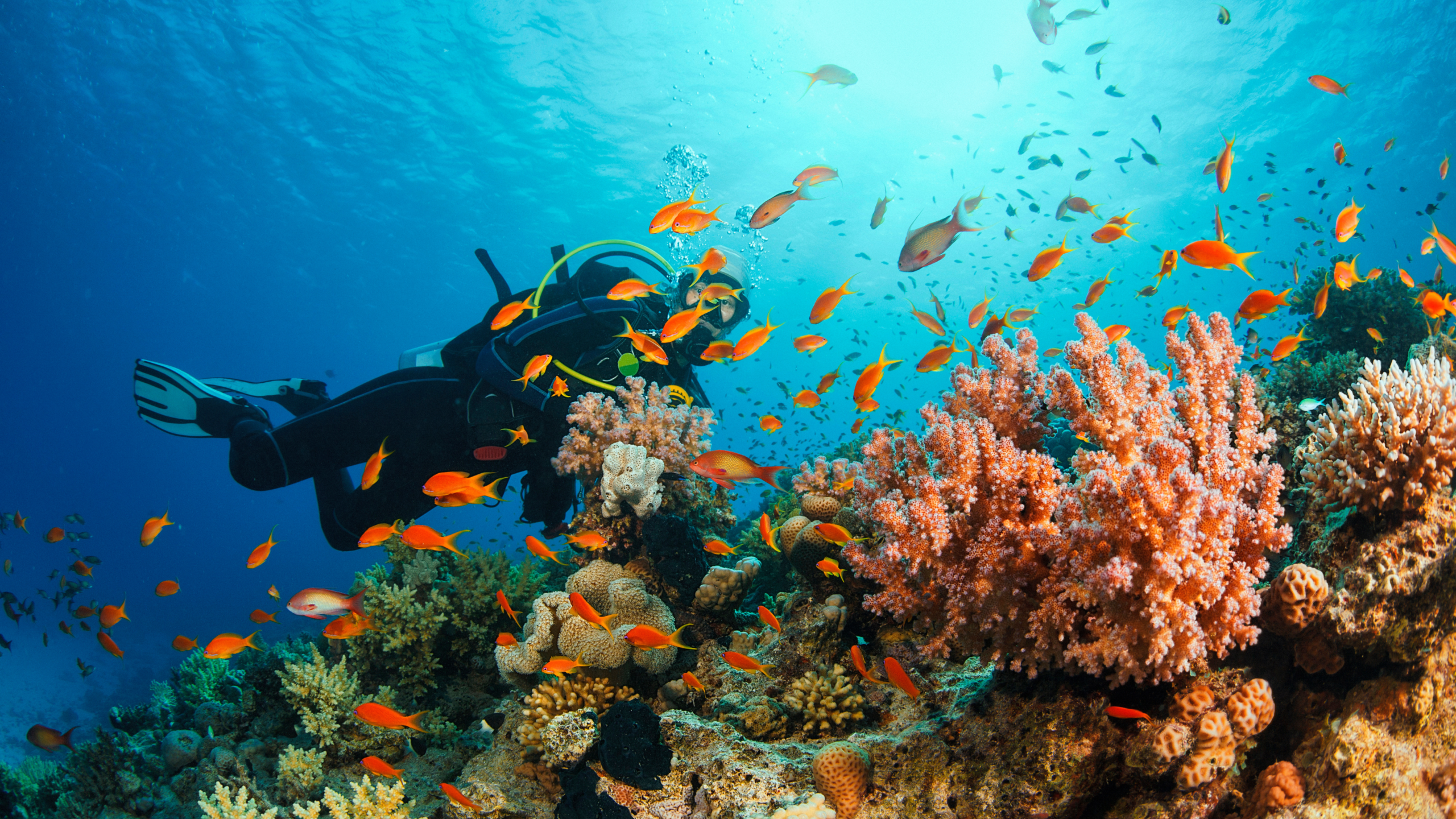 Red Sea lagoon