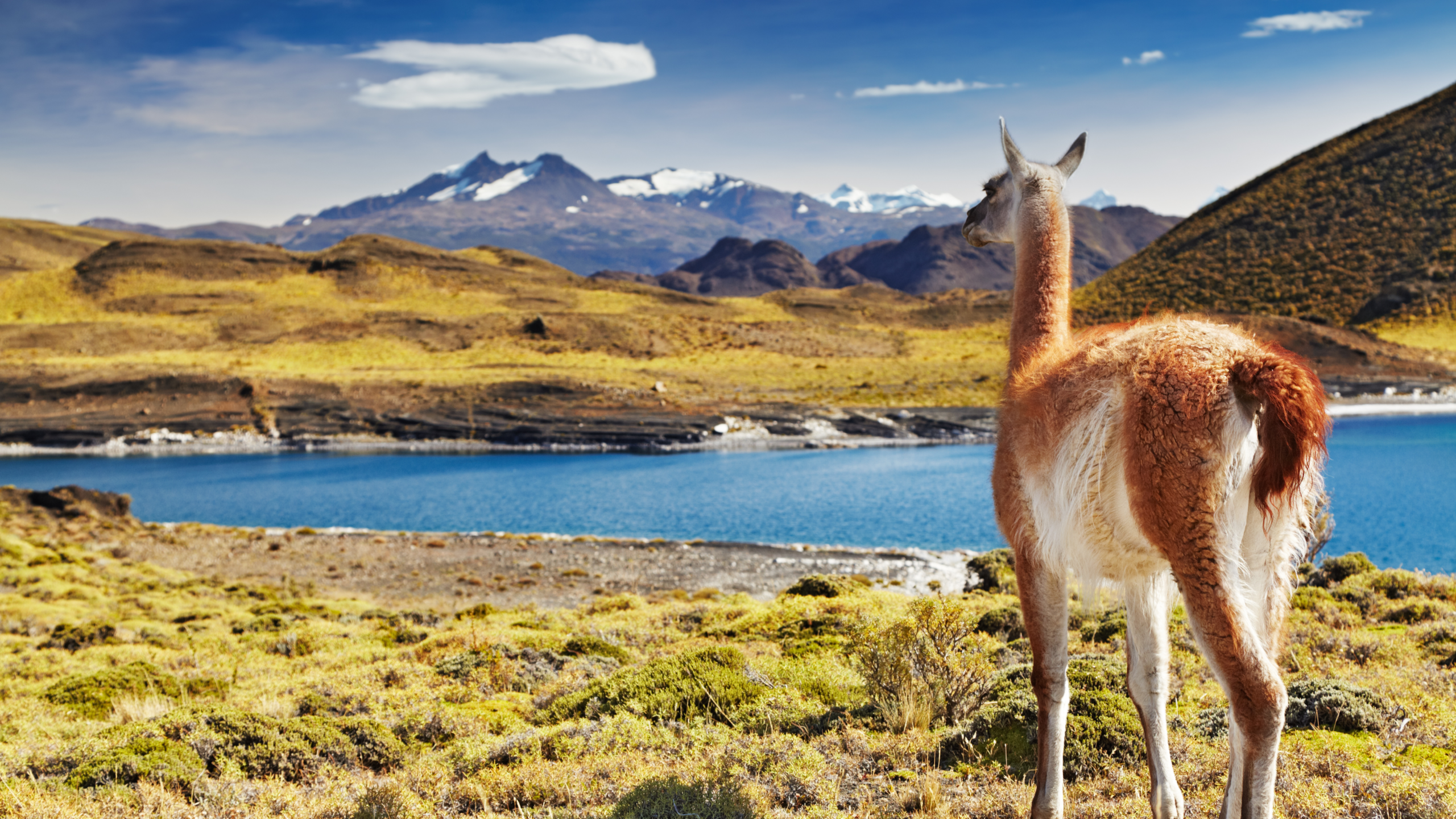 Departure, Patagonia